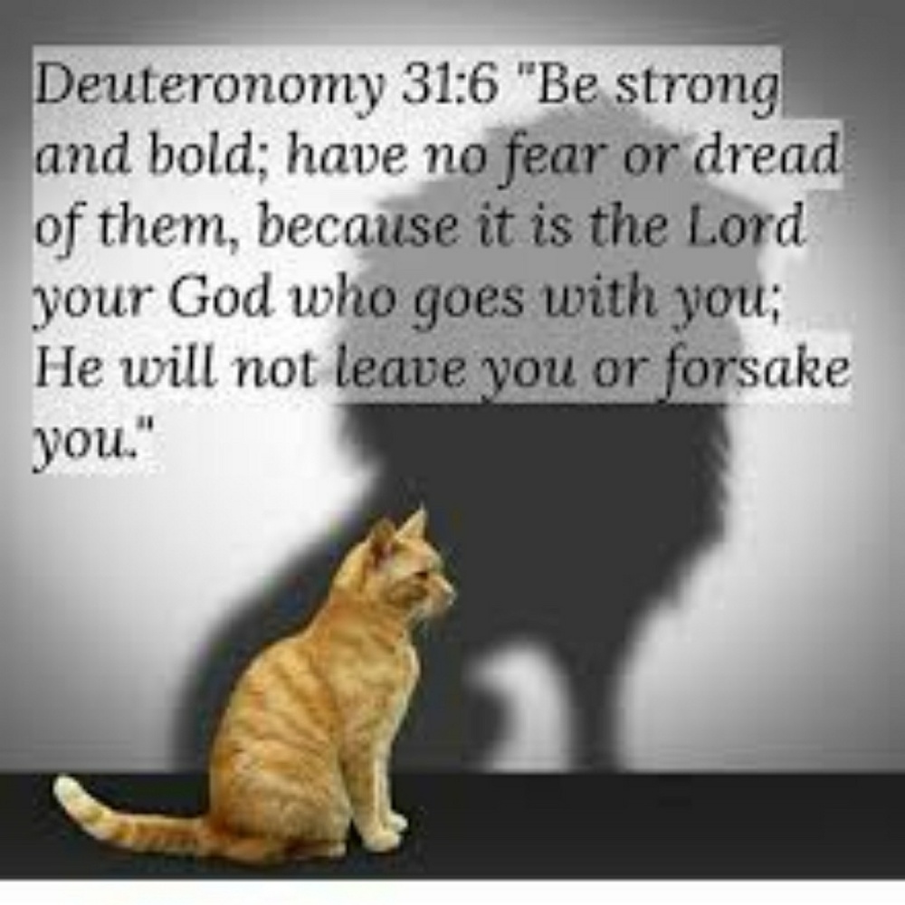 💥💥BE  FEARLESS!💥💥